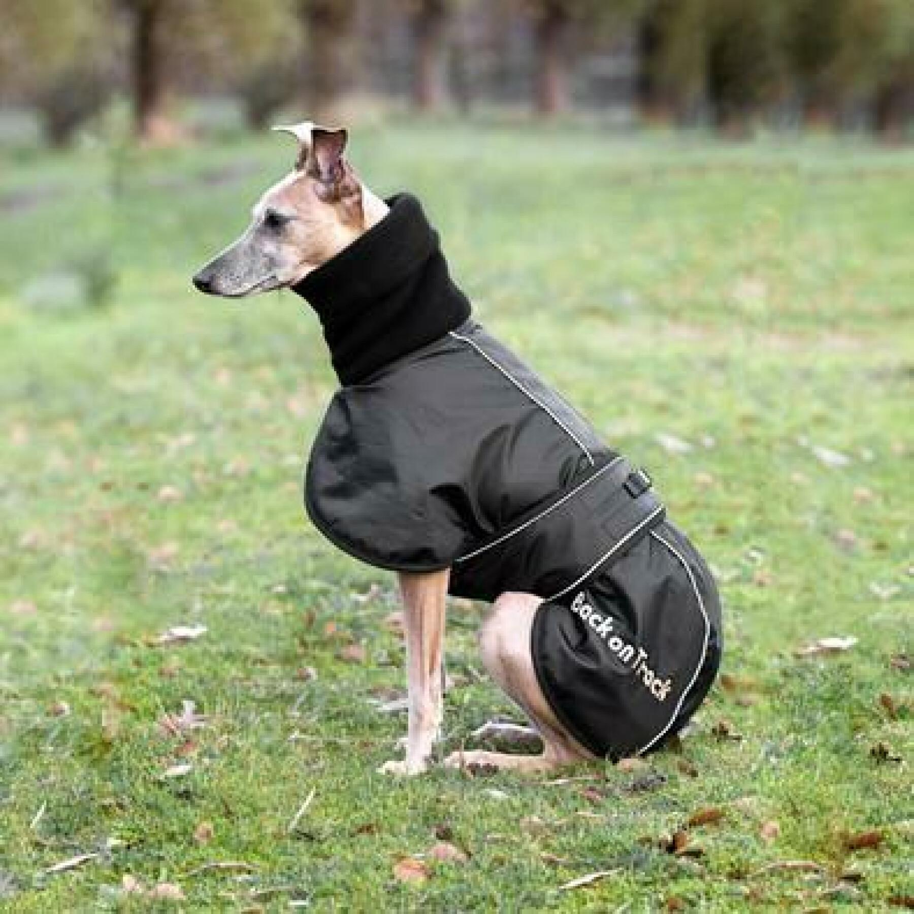 Cappottino per cani Back on Track whippet 45 cm