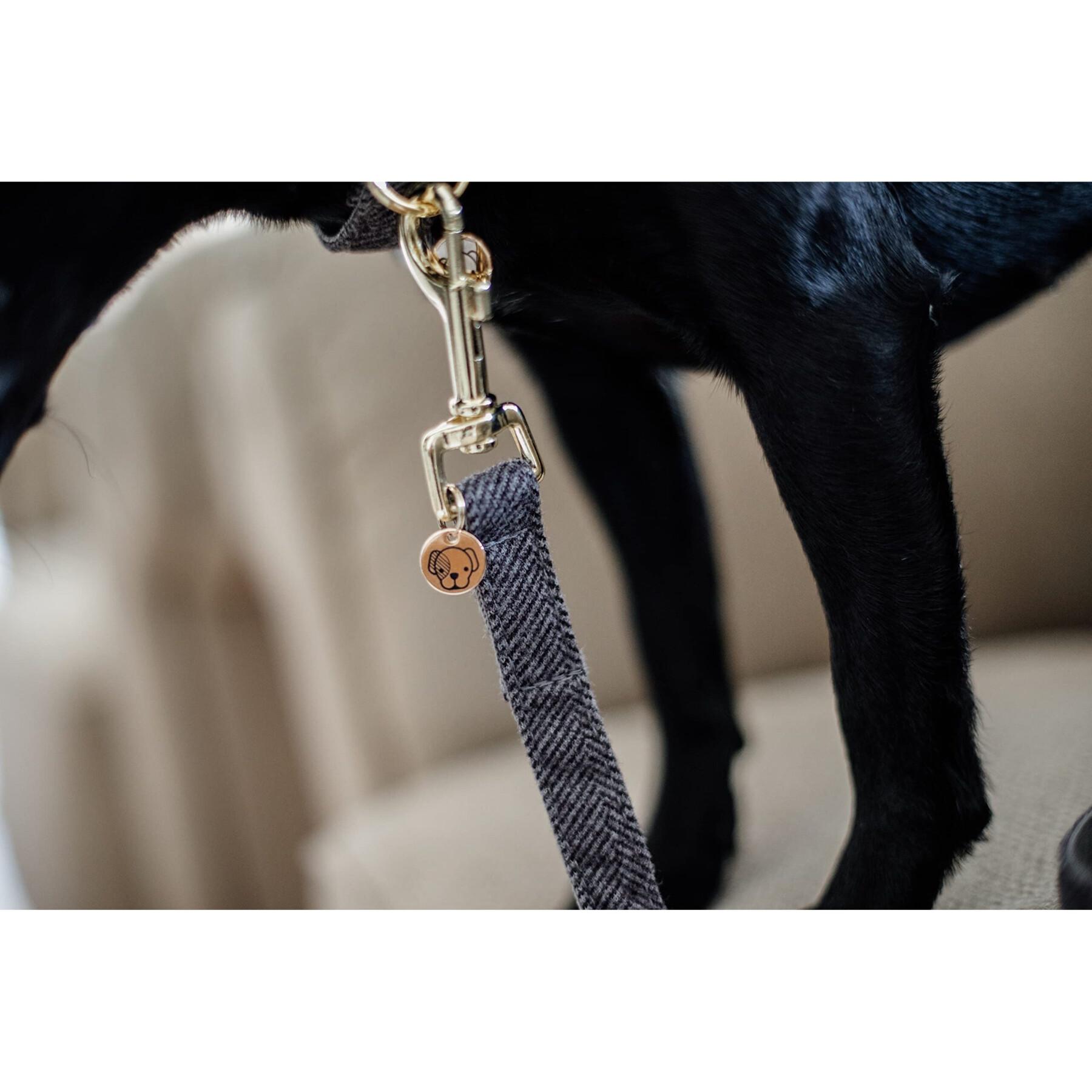 Guinzaglio per cani in lana Kentucky 200 cm