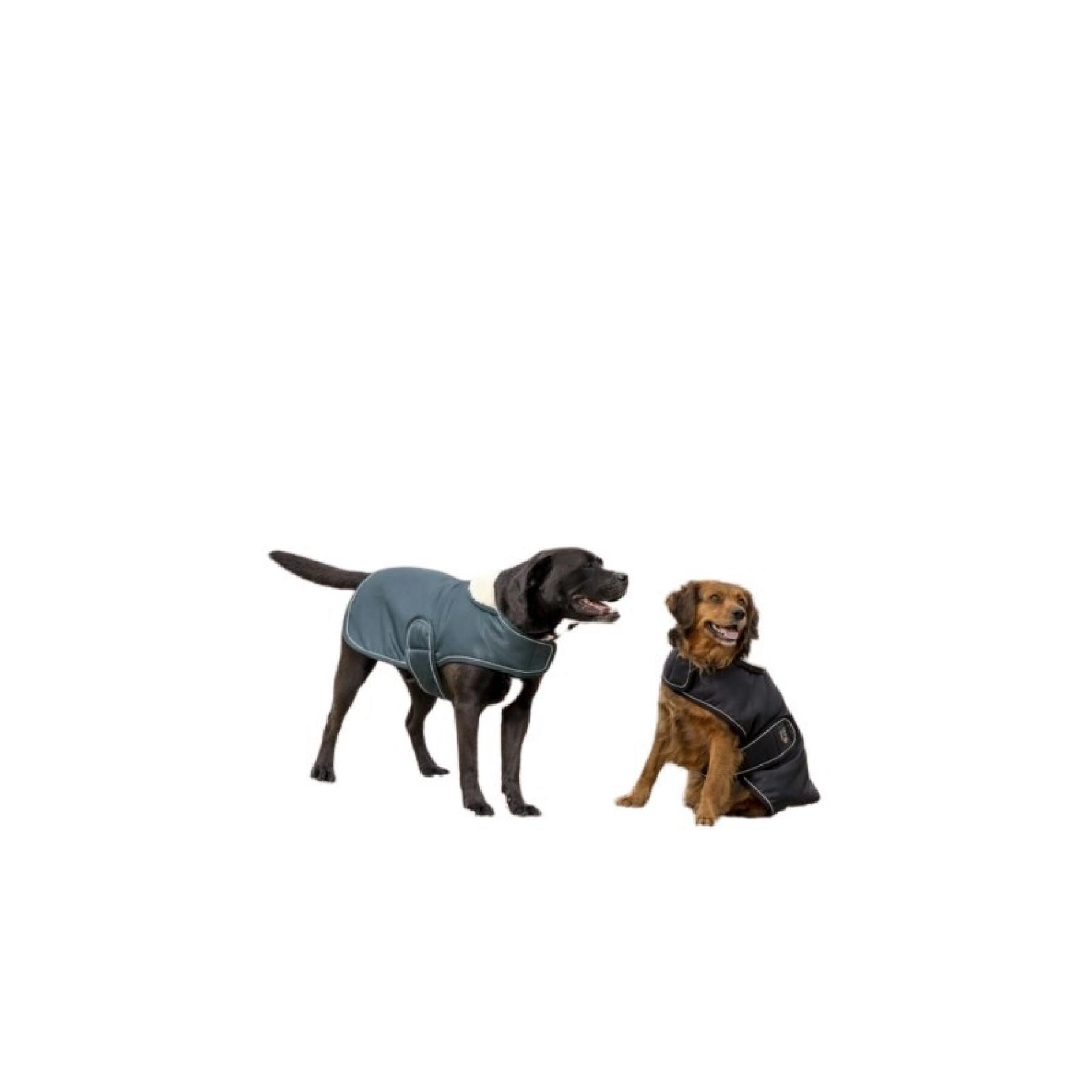 Coperta per cani in pile Diego & Louna Teddy - Cane