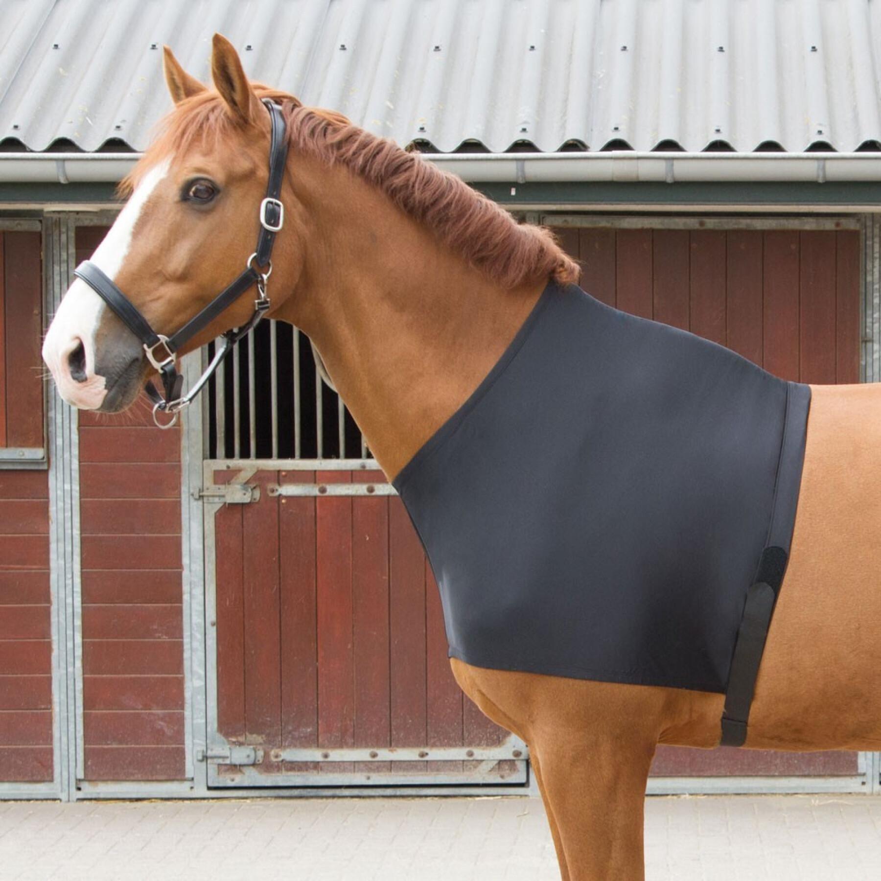 Protezioni elastiche per le spalle del cavallo Harry's Horse