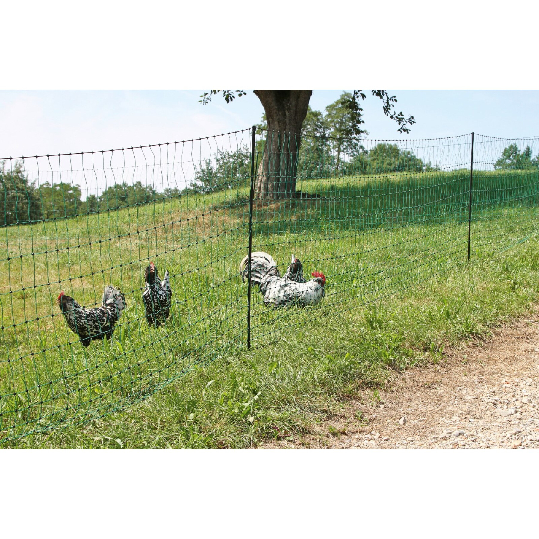 Rete di recinzione per pollame elettrificabile a doppio punto Kerbl