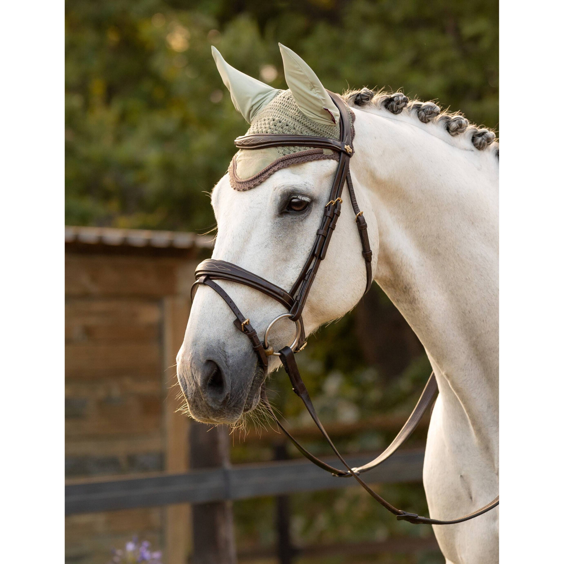 Cappello per cavalli LeMieux Classic