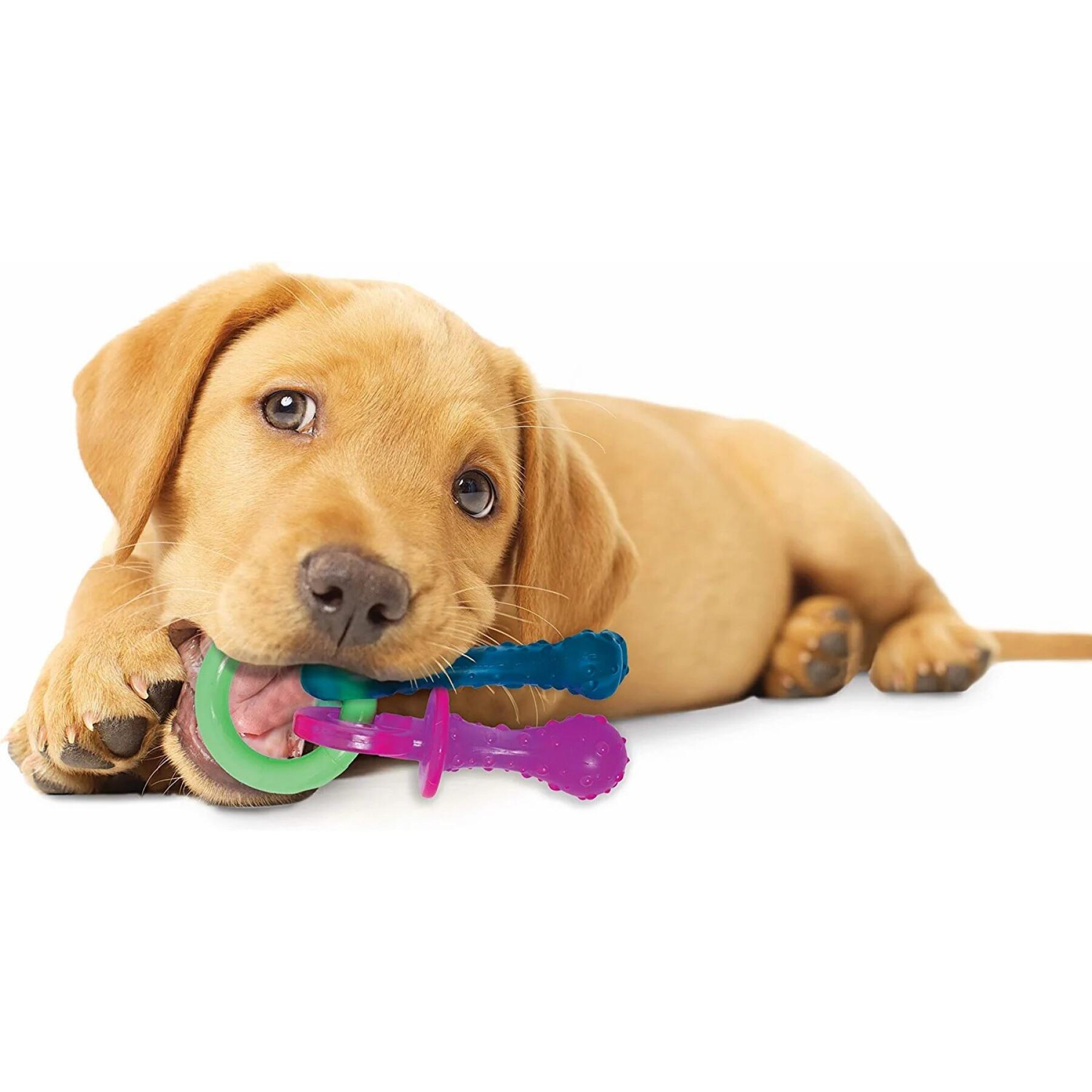 Gioco per cani Nylabone Puppy Teething Pacifier - Bacon XS