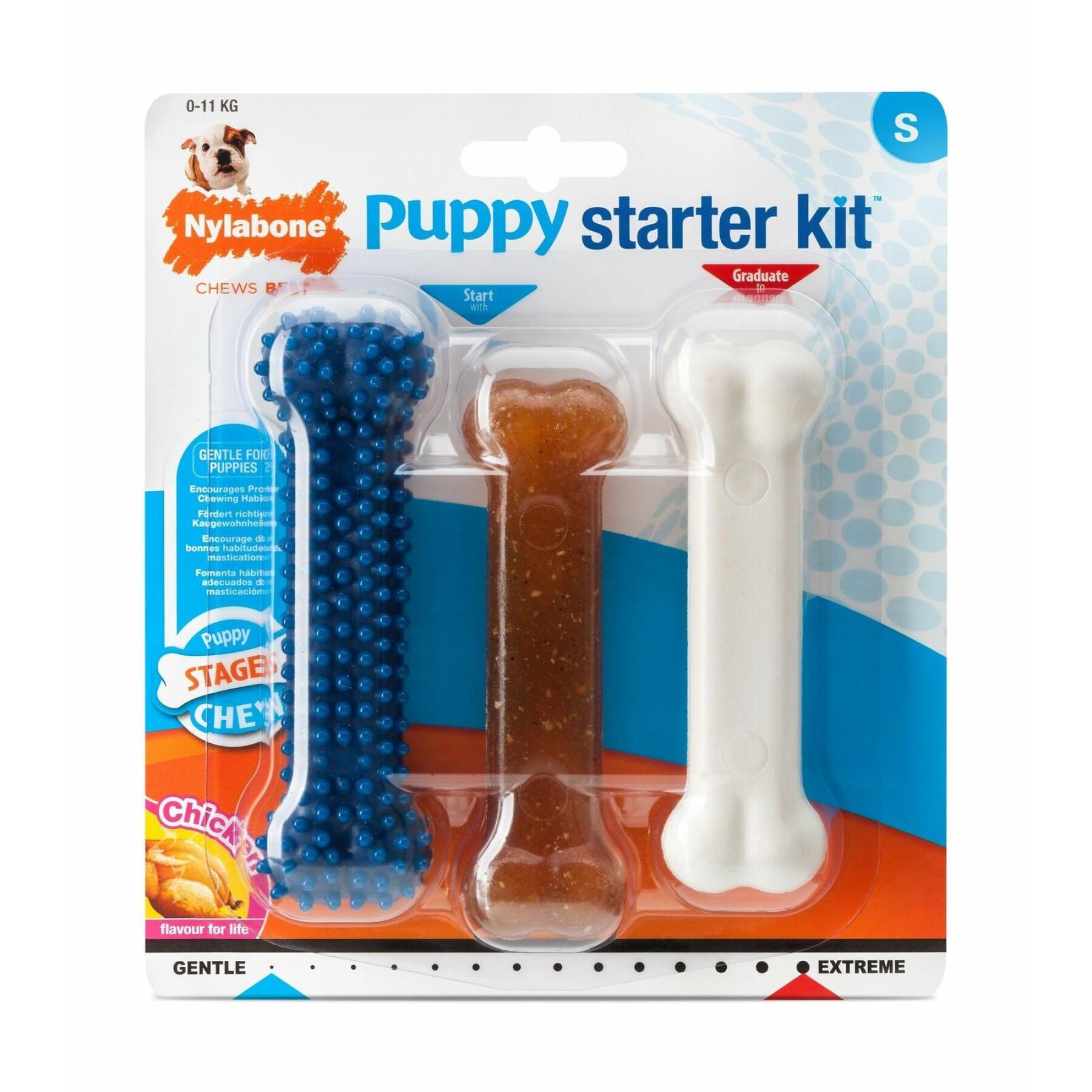 Set di 3 giochi per cani Nylabone Puppy Starter Kit - 1 Puppybone Chicken / 1 Extreme Chew Chicken / 1 Dental Blue S