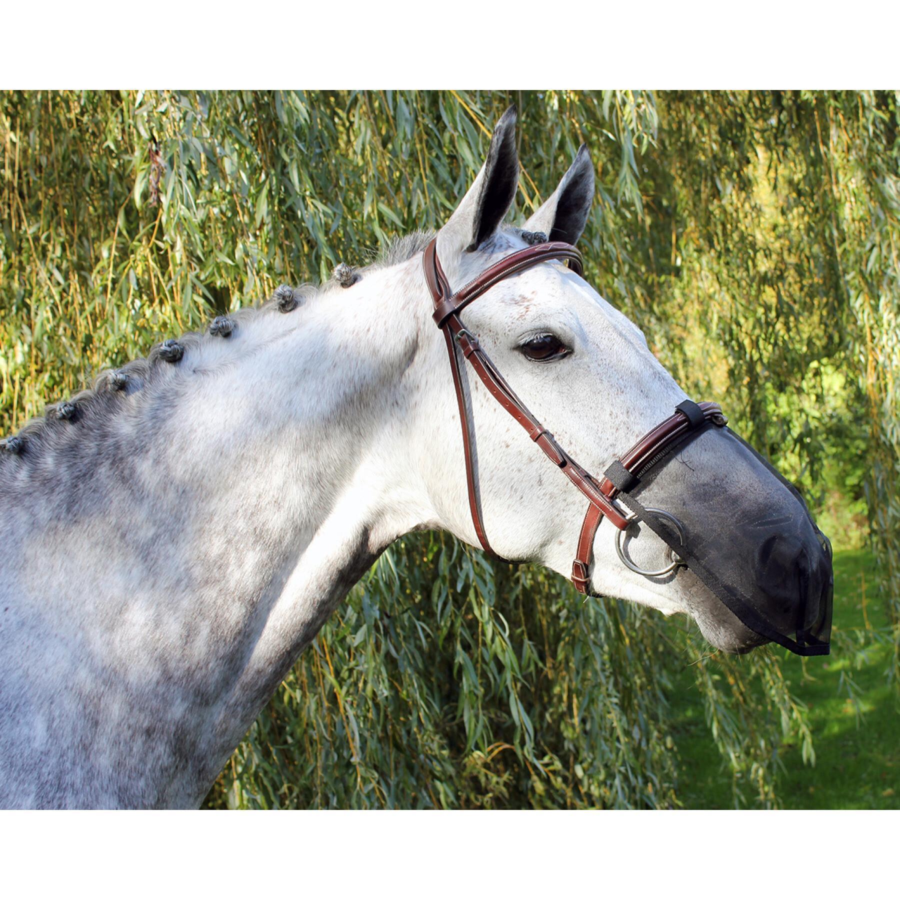Protezione nasale anti-veloce per cavalli QHP