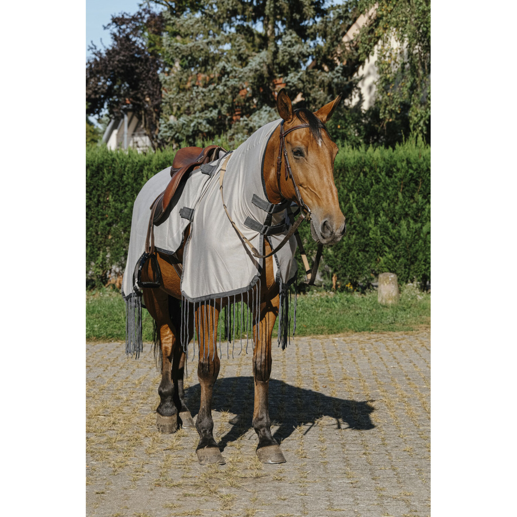 Coperta antimosche per cavalli Riding World