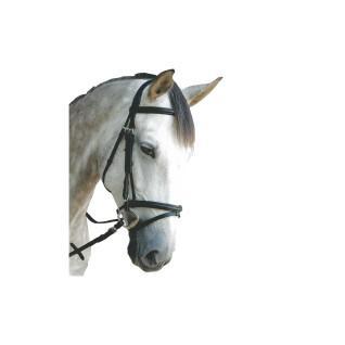 Briglie combinate per l'equitazione Privilège Equitation Royan