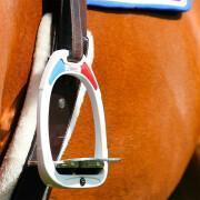 Adesivi per l'equitazione Flex On France