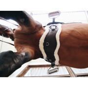 Sottopancia anatomico corto per cavalli da pastore Kentucky