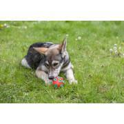 Gioco per cani Kerbl Rugby ToyFactic