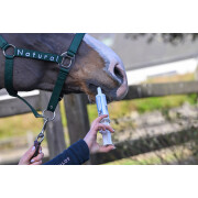 Integratore alimentare per cavalli contro il parassitismo intestinale Natural Innov Protect