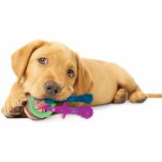 Gioco per cani Nylabone Puppy Teething Pacifier - Bacon XS