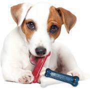 Gioco per cani Nylabone Small Dog Dental Blue Chew - Bacon Chicken / Moderate Chew Origin XS