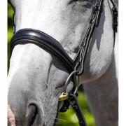 Naso anatomico di cavallo Premier Equine Verdura Cavesson